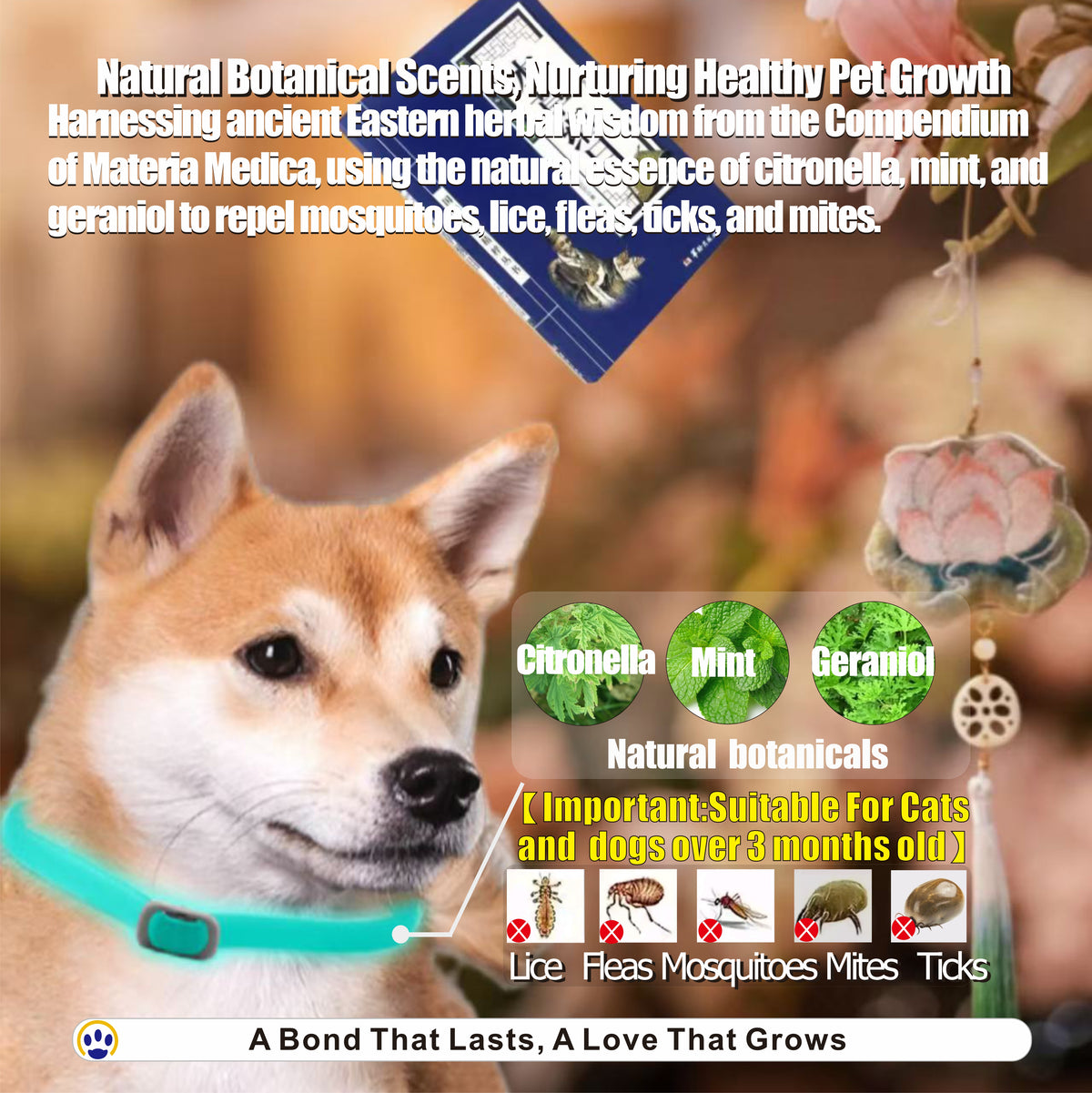 Glow-in-the-Dark Herbal Scented Pet Collar – Natural Comfort & Visibility for Dogs & Cats