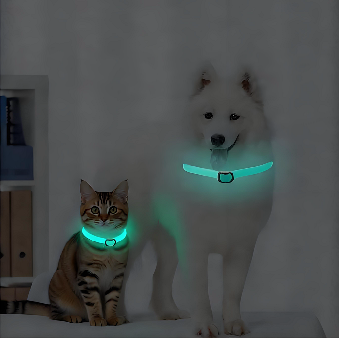 Pet Health & Wellness